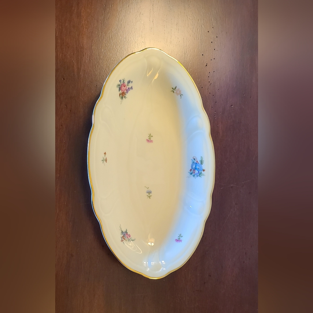 Hutschenreuther Abt. Paul Müller Selb Bavaria Germany 10" oval dish🐣